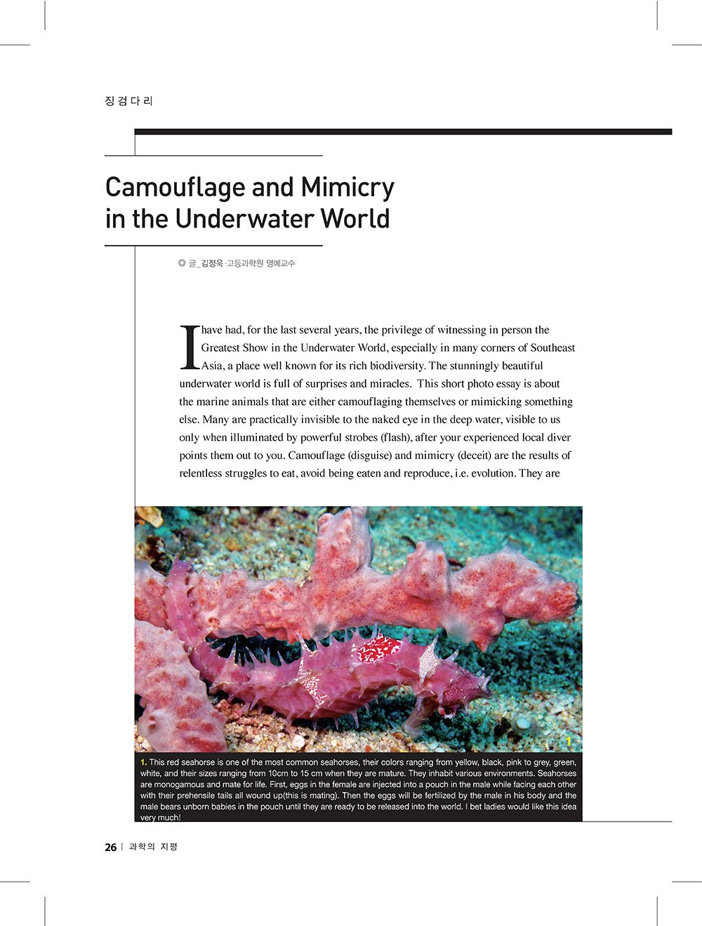 NewsletterNo47_페이지_24