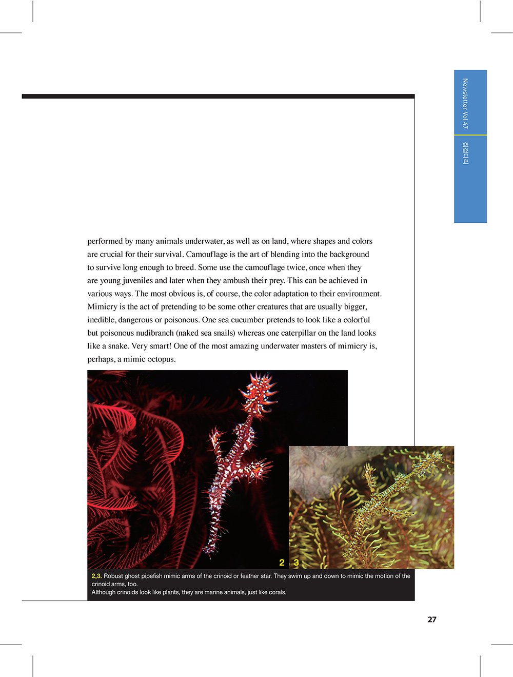 NewsletterNo47_페이지_25