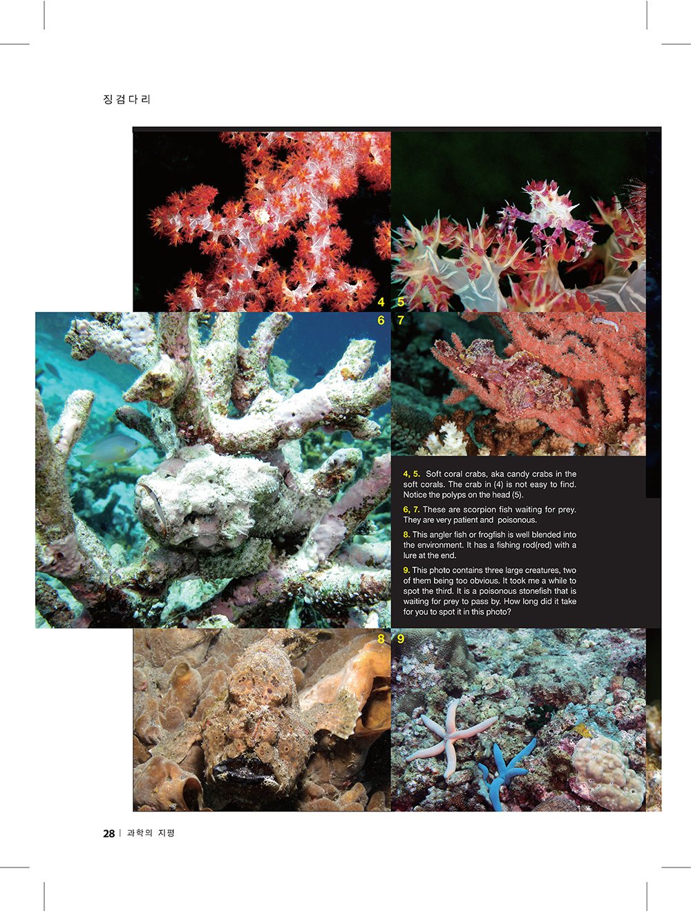 NewsletterNo47_페이지_26