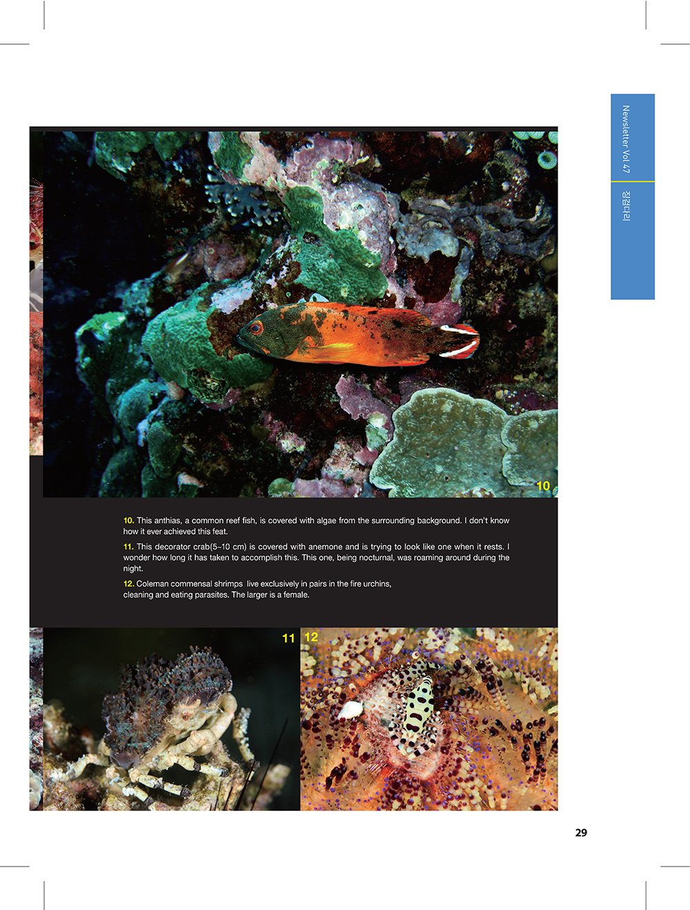 NewsletterNo47_페이지_27