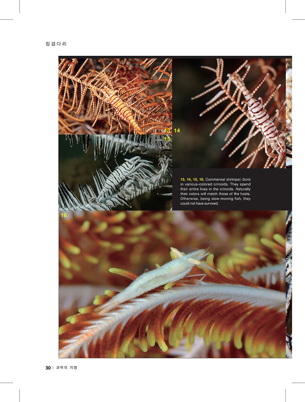 NewsletterNo47_페이지_28