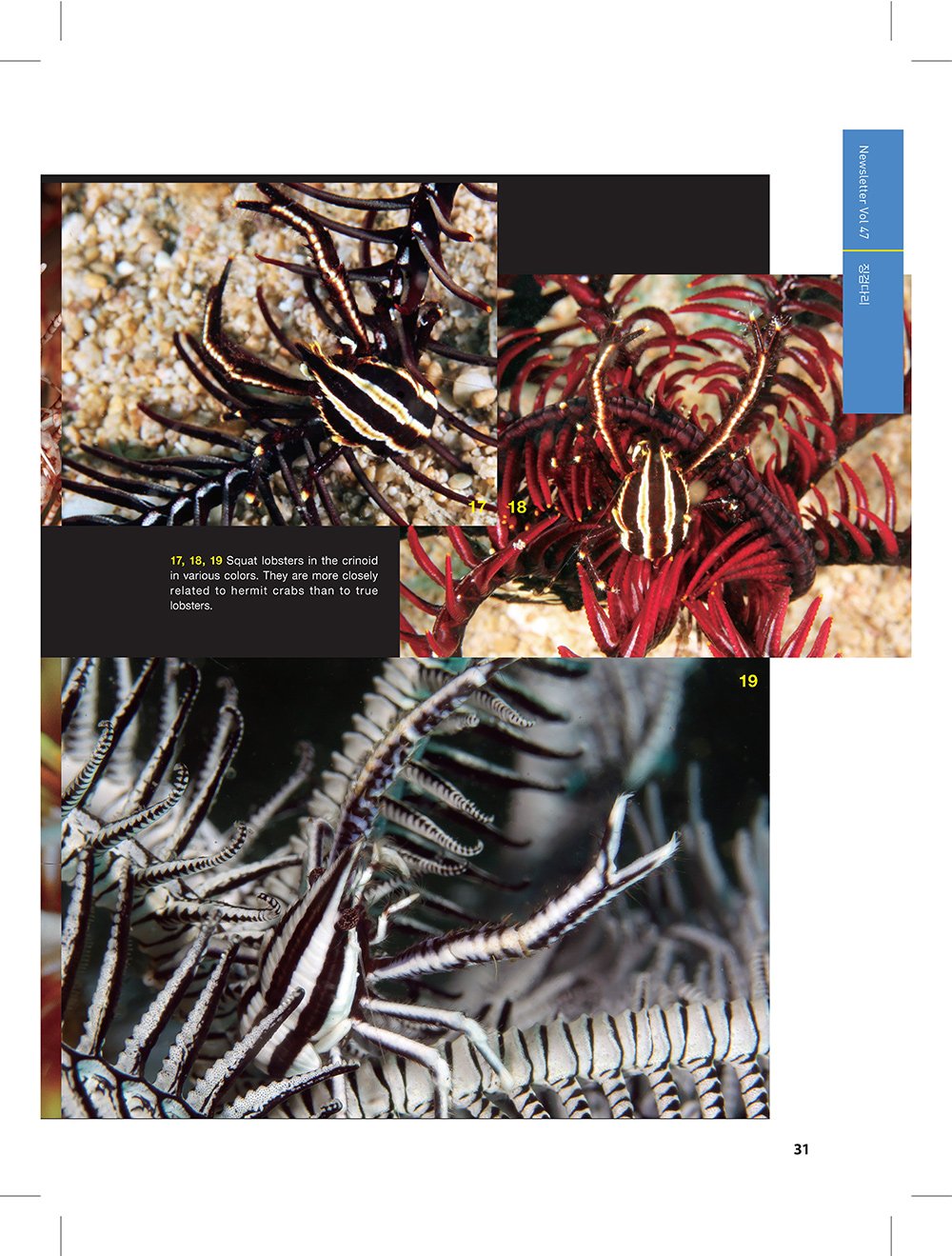 NewsletterNo47_페이지_29