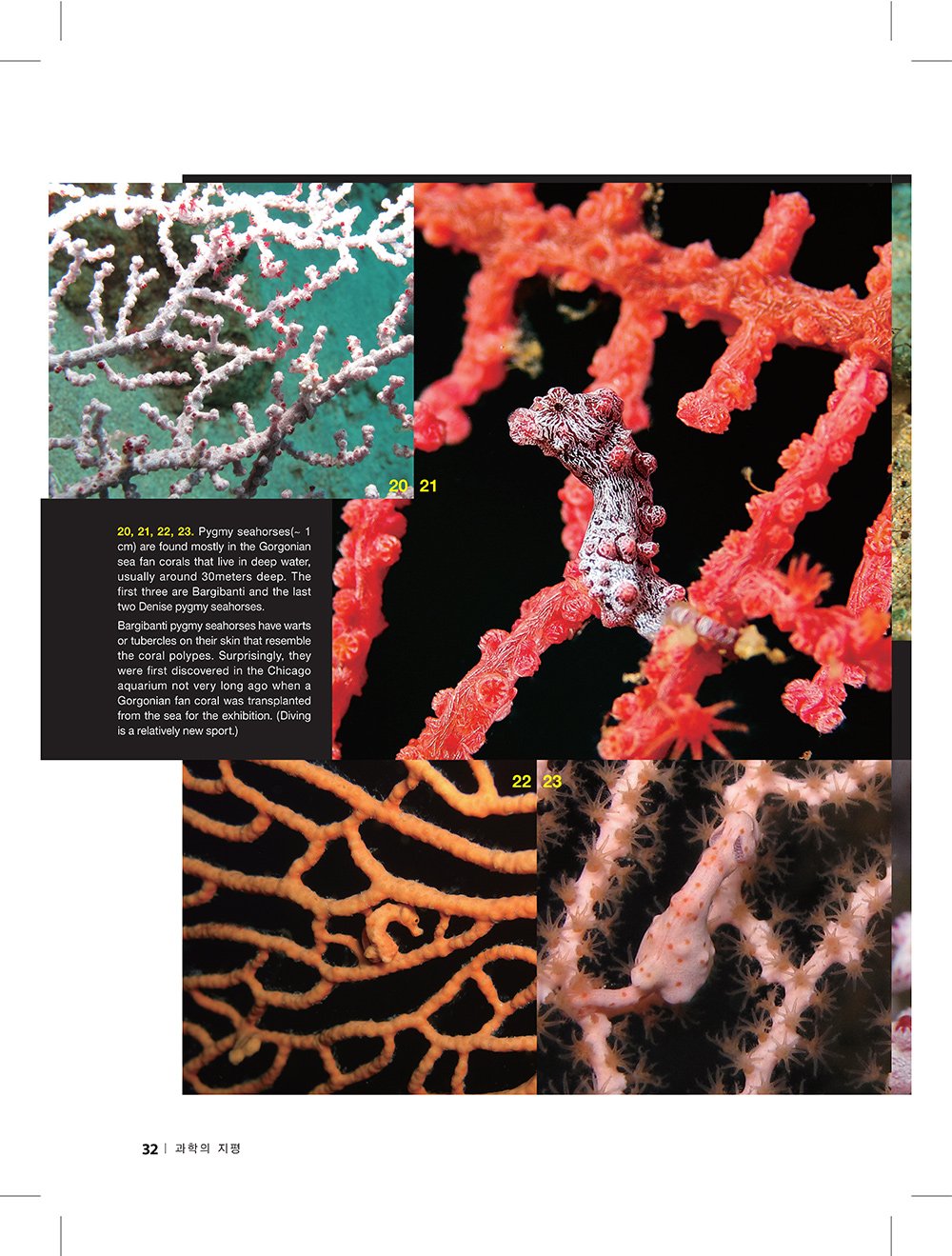 NewsletterNo47_페이지_30