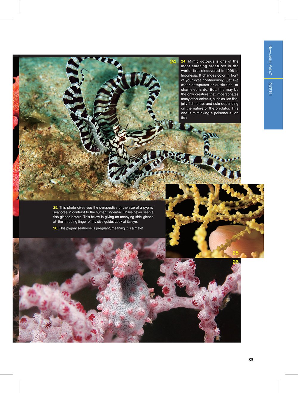 NewsletterNo47_페이지_31