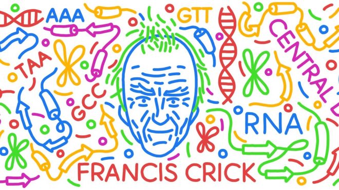 [과학의 결정적 순간들] 1957년, 프란시스 크릭이 분자생물학의 중심원리를 제시하다