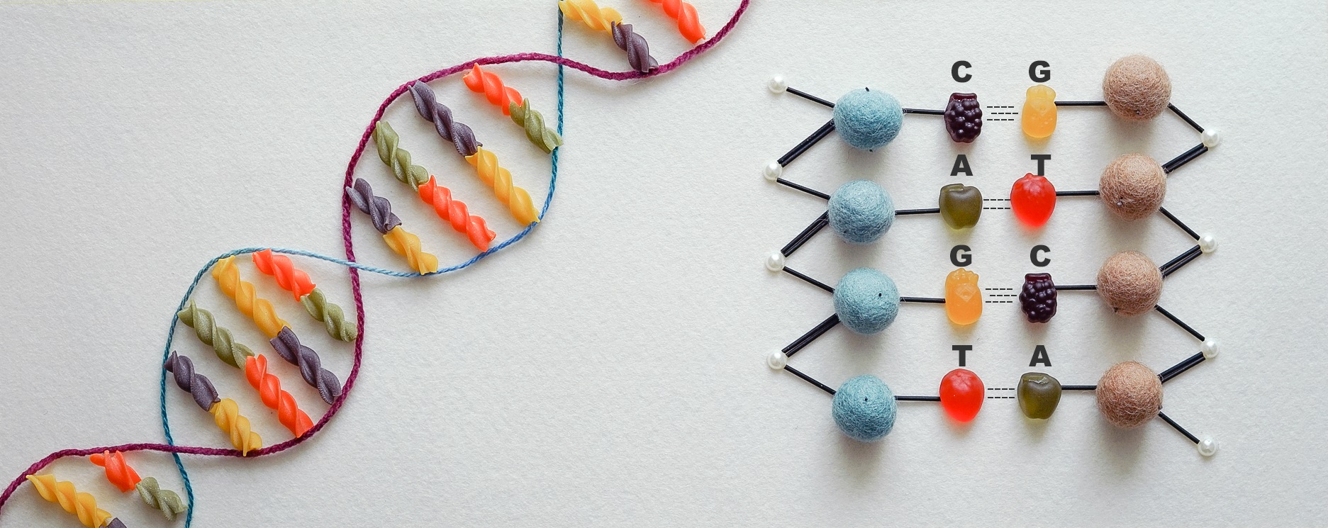 유전자”에 대한 검색 결과 – 고등과학원 HORIZON