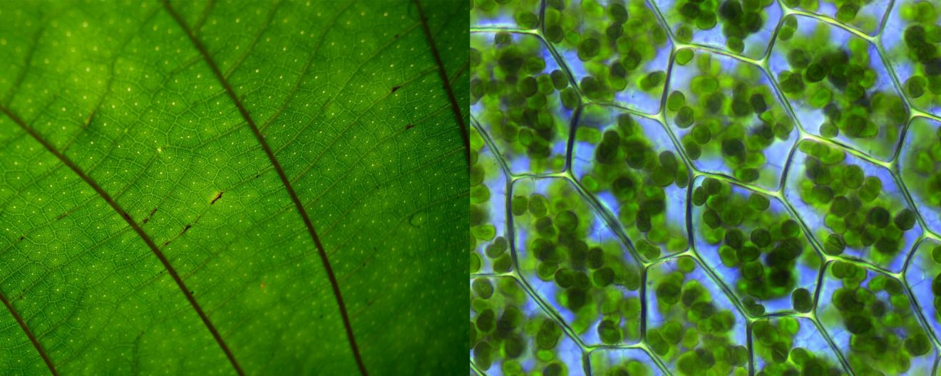 Main Image for Jang_Oct_2025